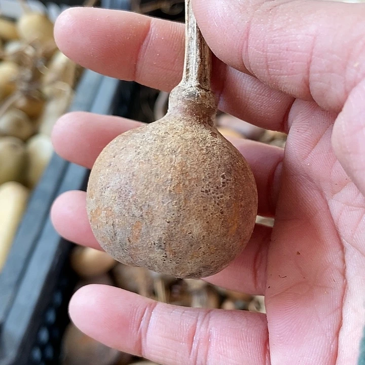 粲**笑x c c r f g h j h