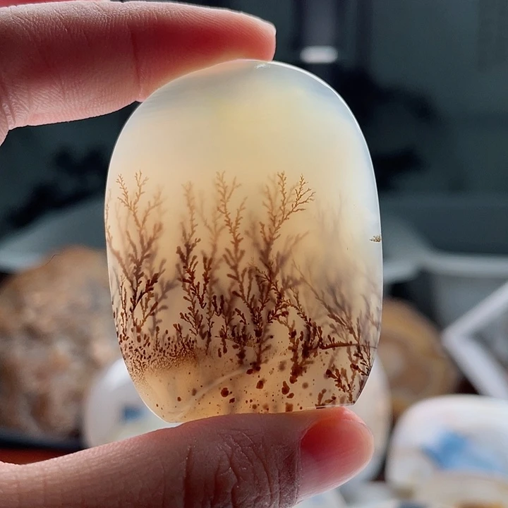 玛瑙/玉髓吊坠(不含链)未镶嵌幕*