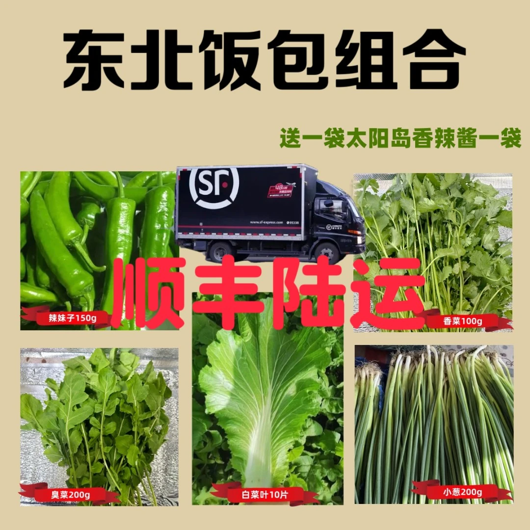 东北蘸酱菜饭包组合5种菜+1袋酱.顺丰陆运包邮