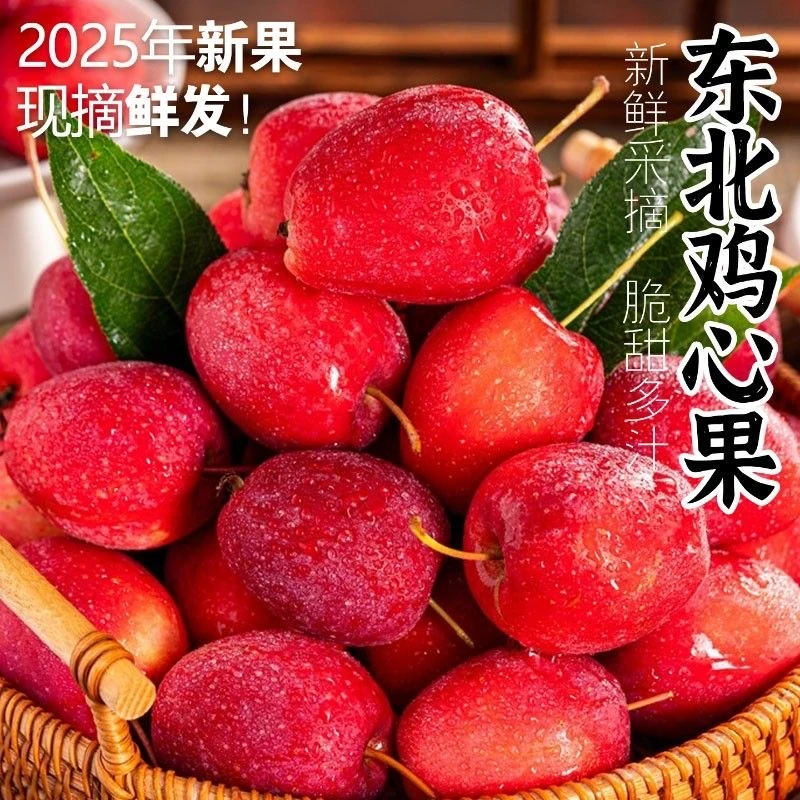 【顺丰包邮】东北鸡心果锦绣海棠酸甜多汁新鲜采摘产地直发小苹果