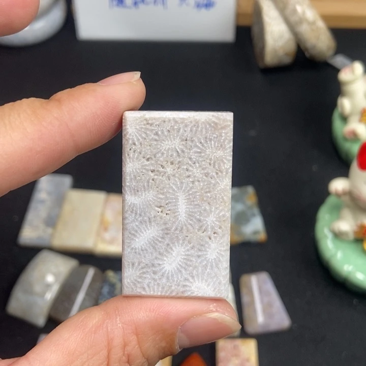 未镶嵌手链硅化珊瑚（珊瑚玉）