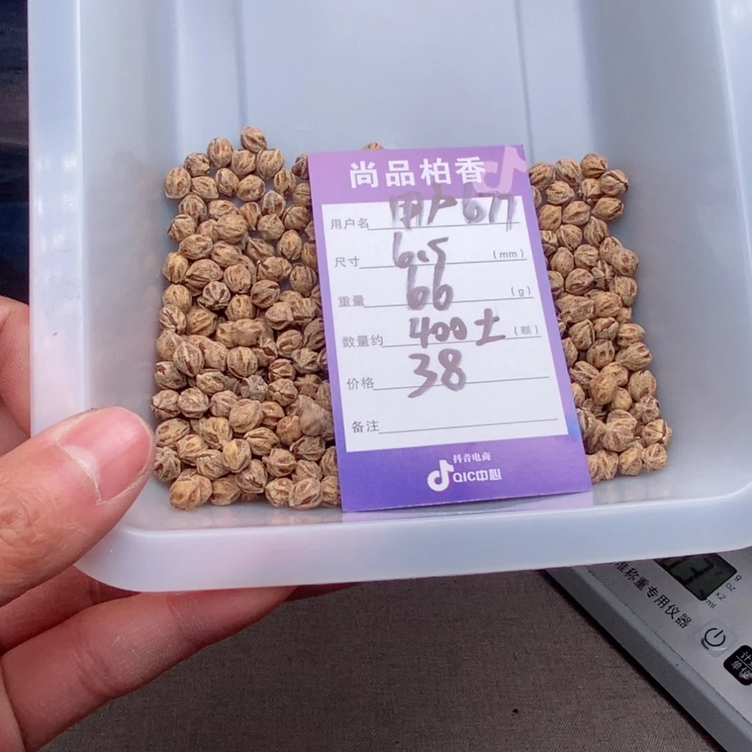 柏香籽/百香籽吊坠用***7