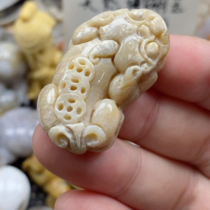颈饰未镶嵌硅化珊瑚（珊瑚玉）