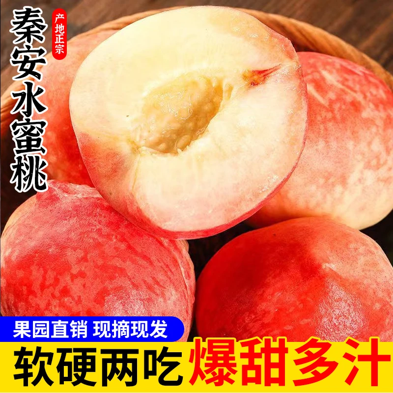 天水秦安水蜜桃精品正宗高山现摘现发脆软两吃新鲜甜爆汁应季水果