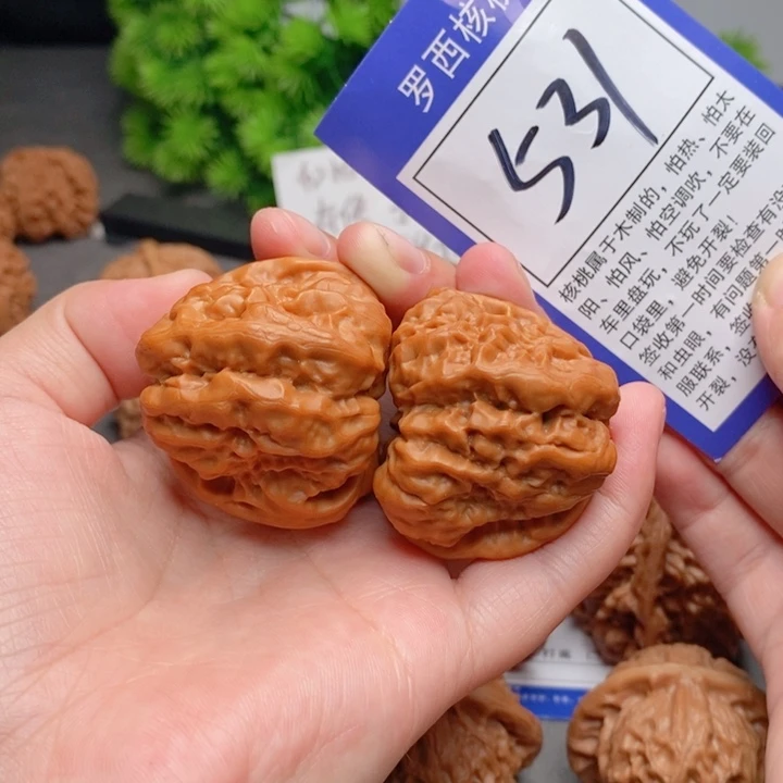 桃核把件41蛤蟆头531号牌