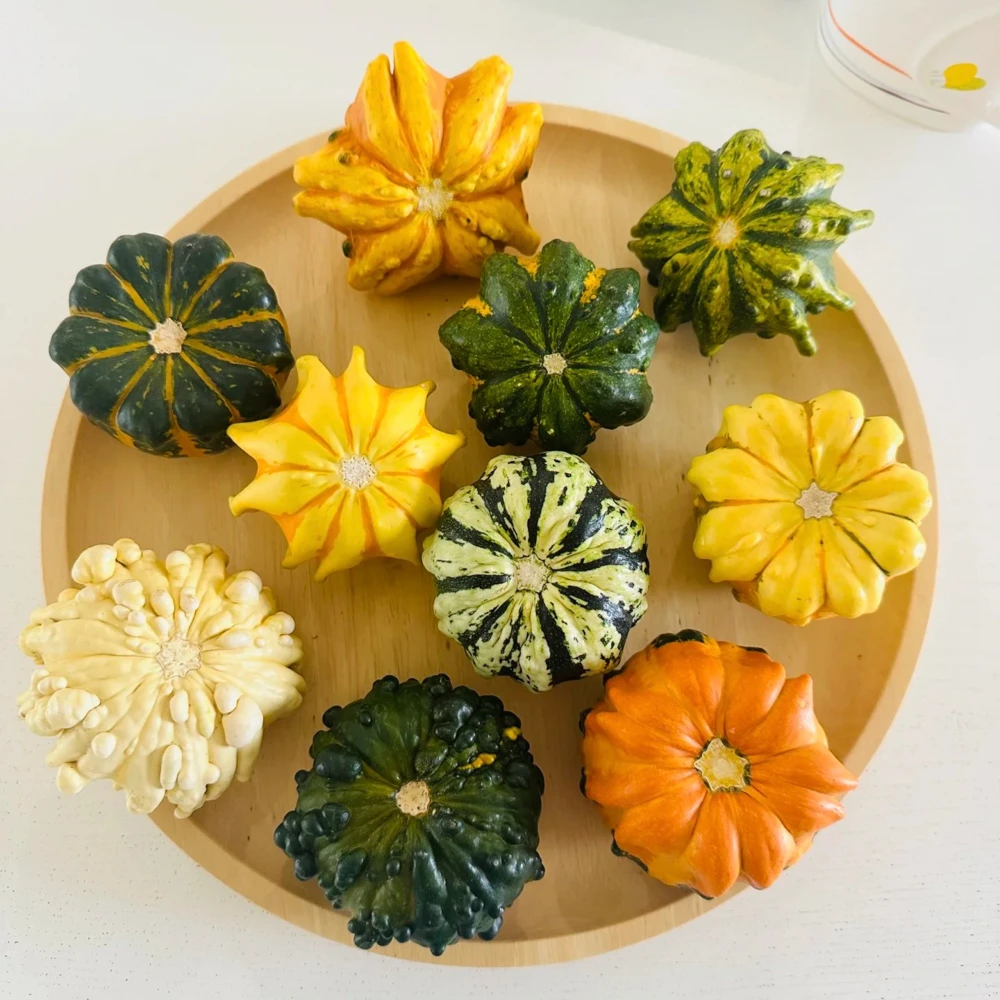 【墨西哥葫芦】天然摆件高端观赏万物可盘把玩原皮云南直采直发