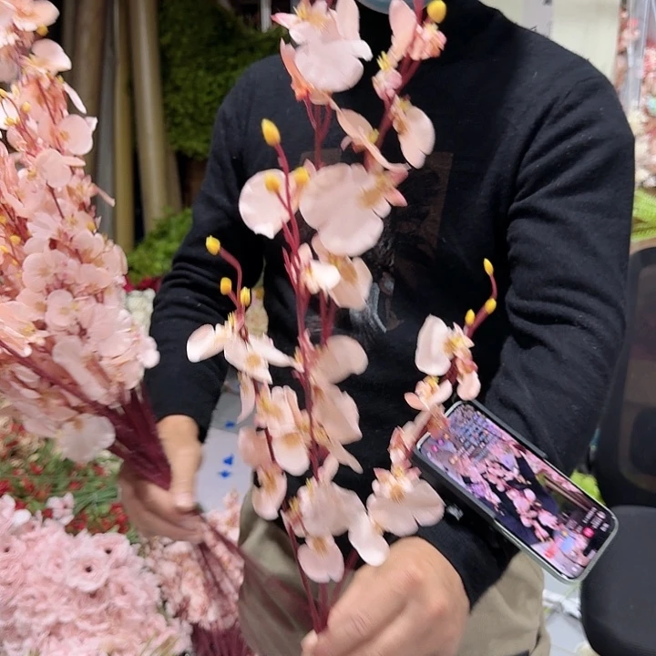 跳舞兰粉色10支装