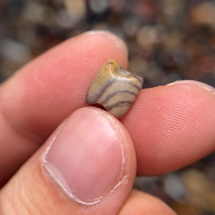 11111111111111111111