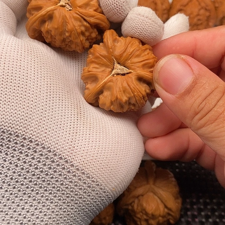 手串/手链核桃拼接白狮子10