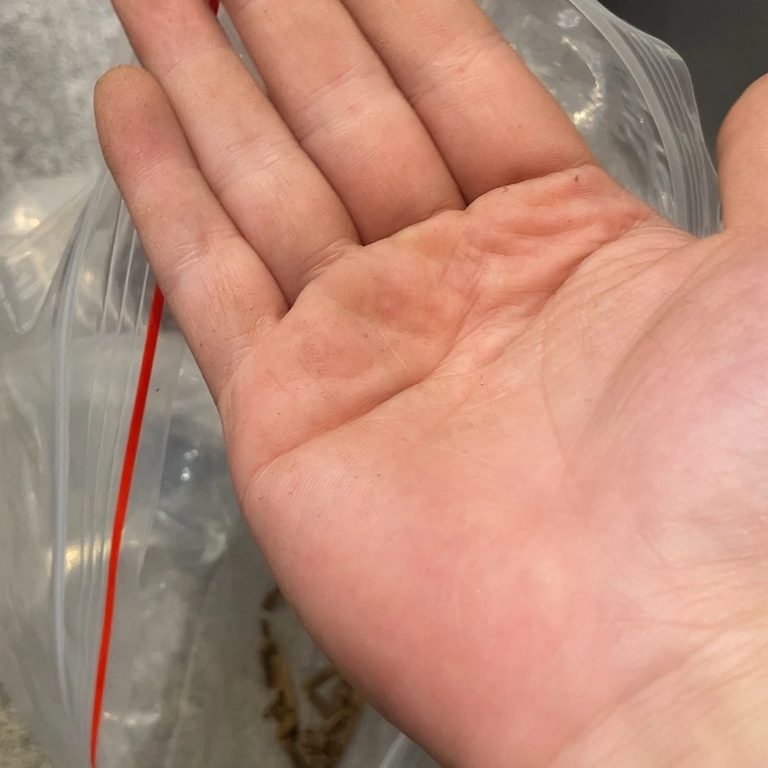 檀香木10克装，阴沉颗粒