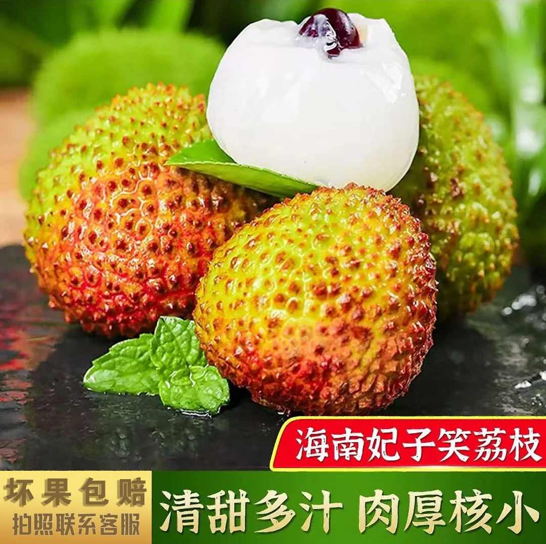 【邮政专属】妃子笑老树荔枝新鲜现摘清甜多汁肉厚核小带箱1-5斤