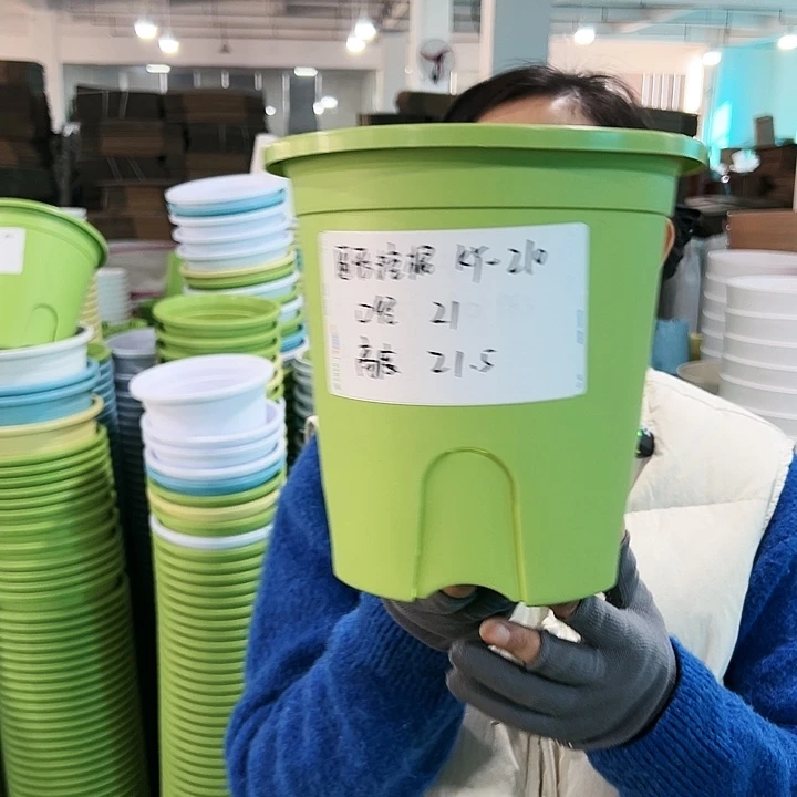 正品圆控根口21高21果绿无托5个