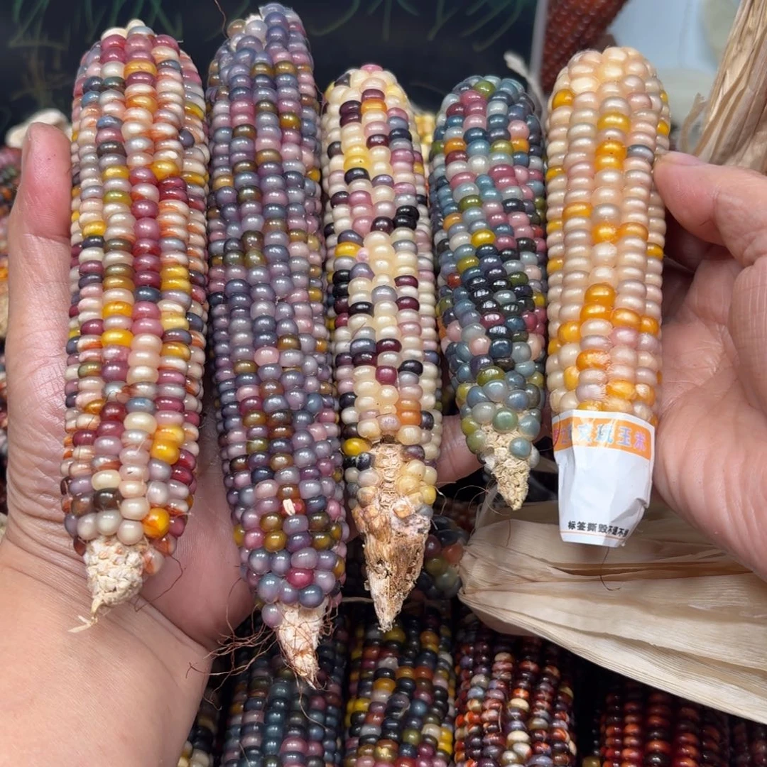 柏香籽/百香籽吊坠嗯*嗯