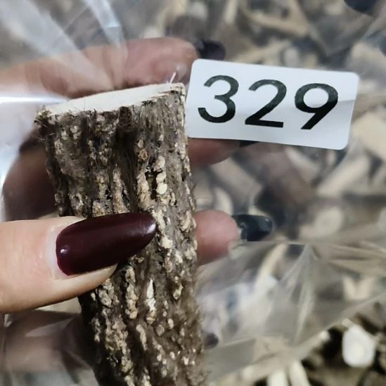 王***昱鹿角鹿角鹿角鹿角鹿角鹿角