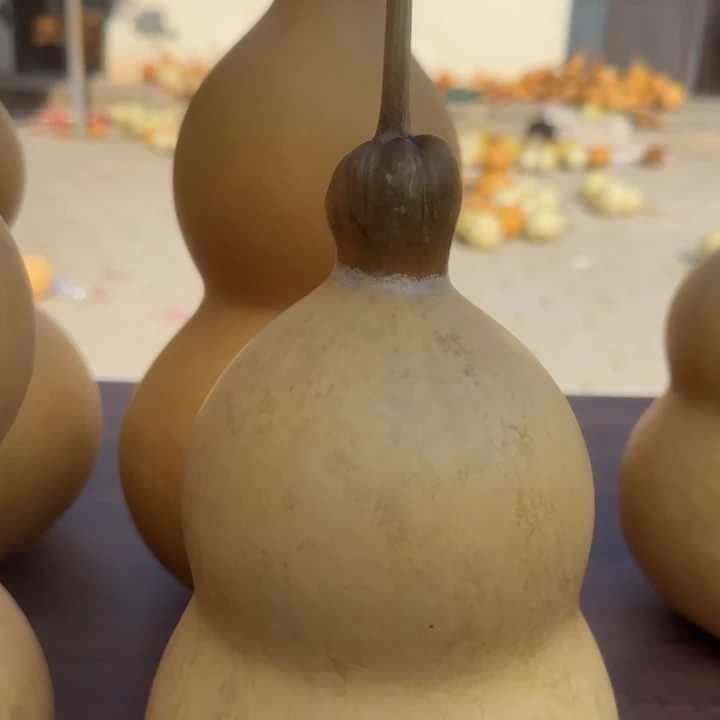 咕噜互留居咕噜咕噜