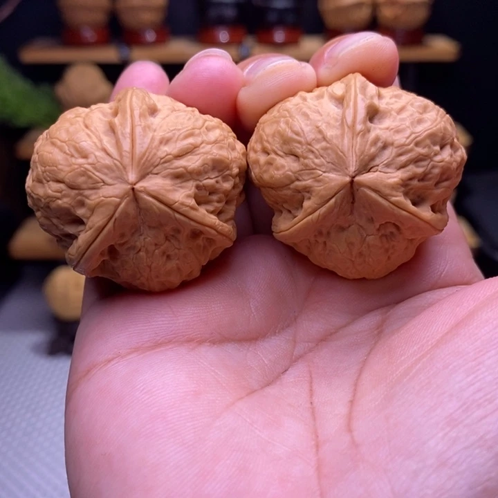 木质类云铁寿桃三棱39号