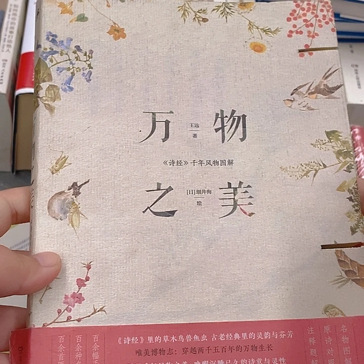 瑕疵锯口  万物之美