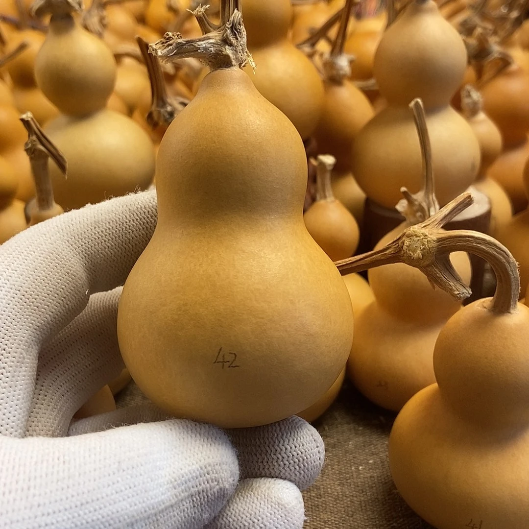 文玩葫芦 完美主义者 慎拍42