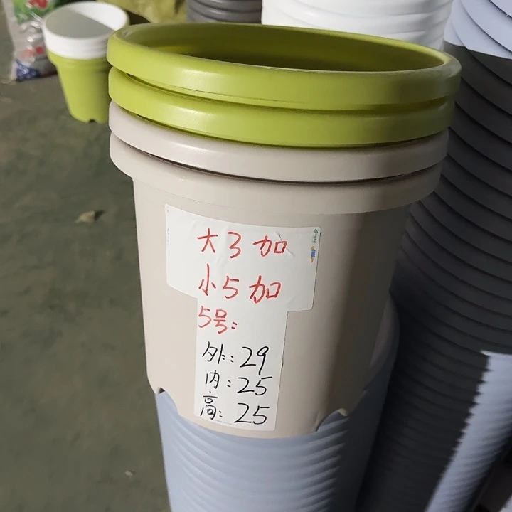 四季5#口径29果绿10个无托