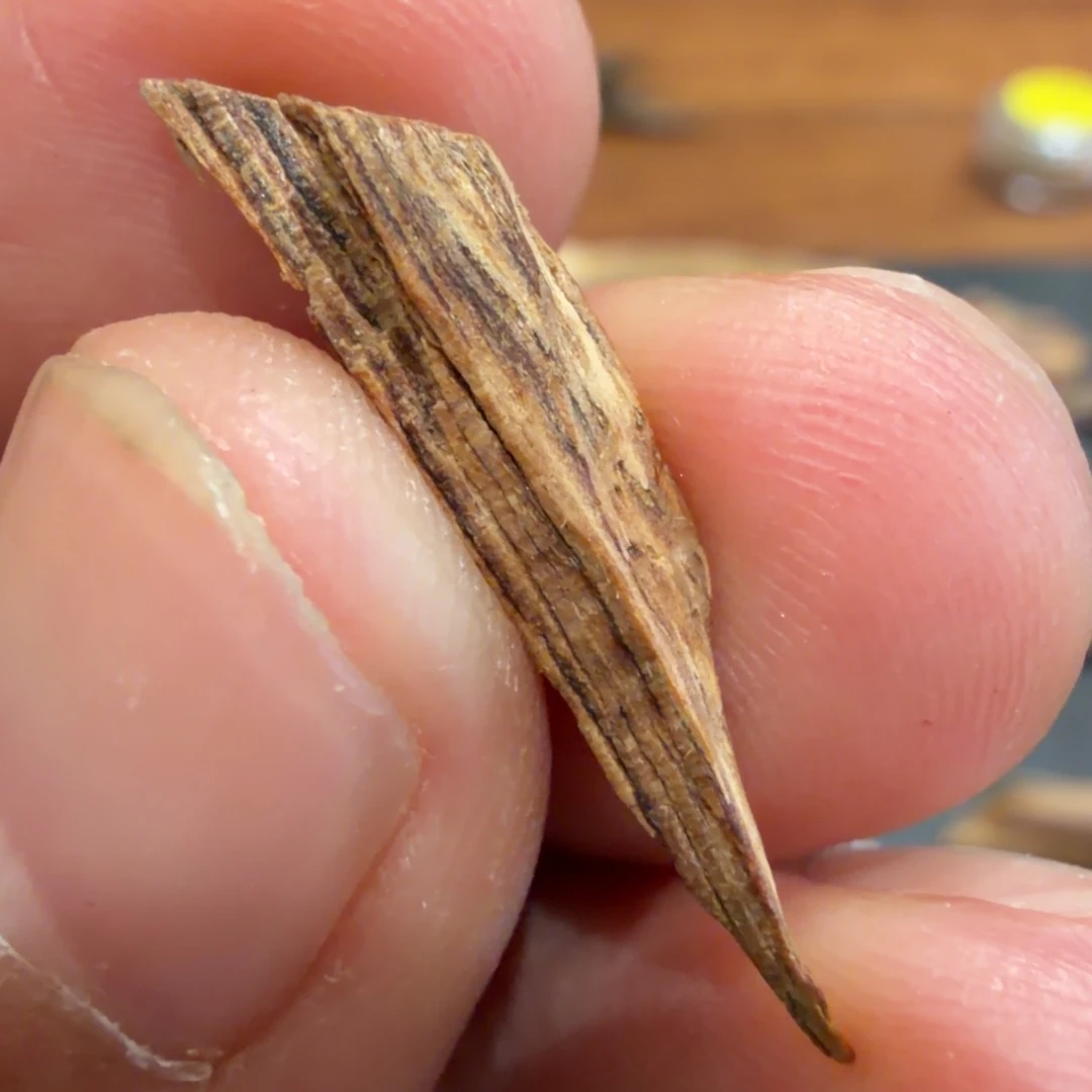 树脂制品港深屈黄棋树心油 0.24 克