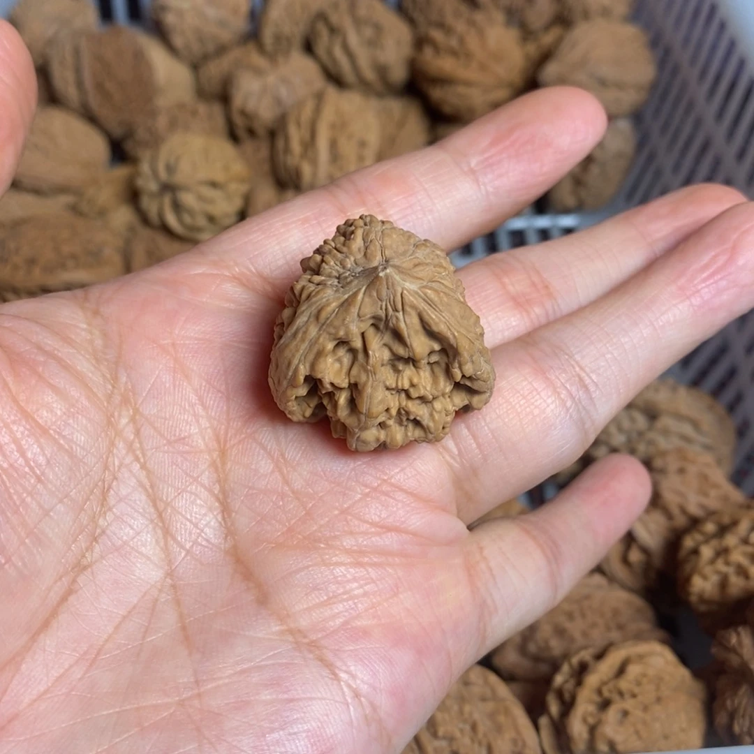 宁***文玩核桃把件文玩