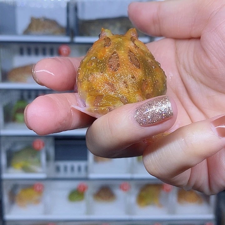 特价秒杀现货特价