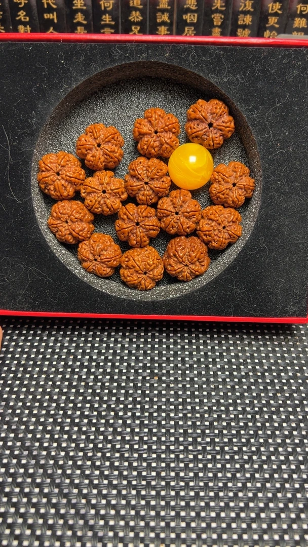 原生态帝王花，尼泊尔大金刚。