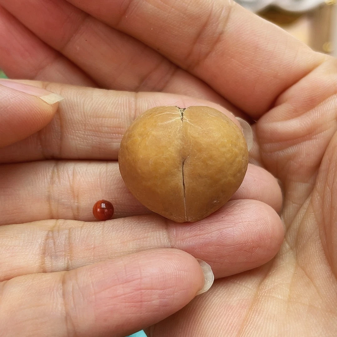 南红玛瑙未镶嵌吊坠(不含链)