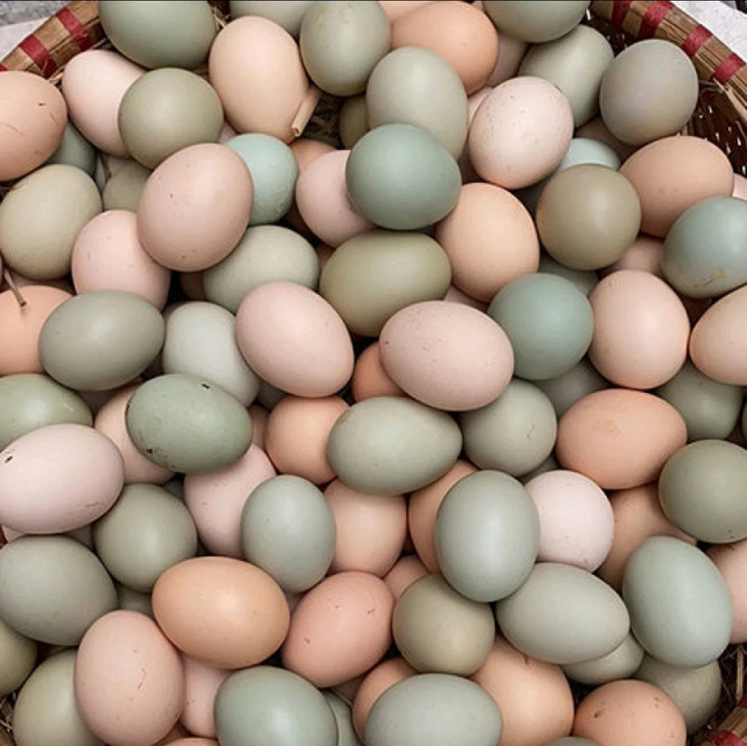 鸡蛋鸭蛋（红渡村农产品）