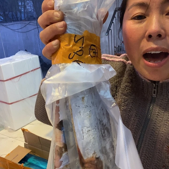 牡***花中国大陆渤海湾野生刀鱼2条4号