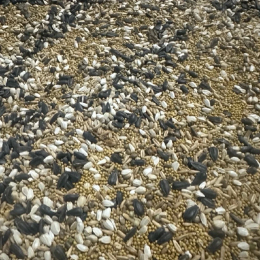 断奶营养鹦鹉混合粮