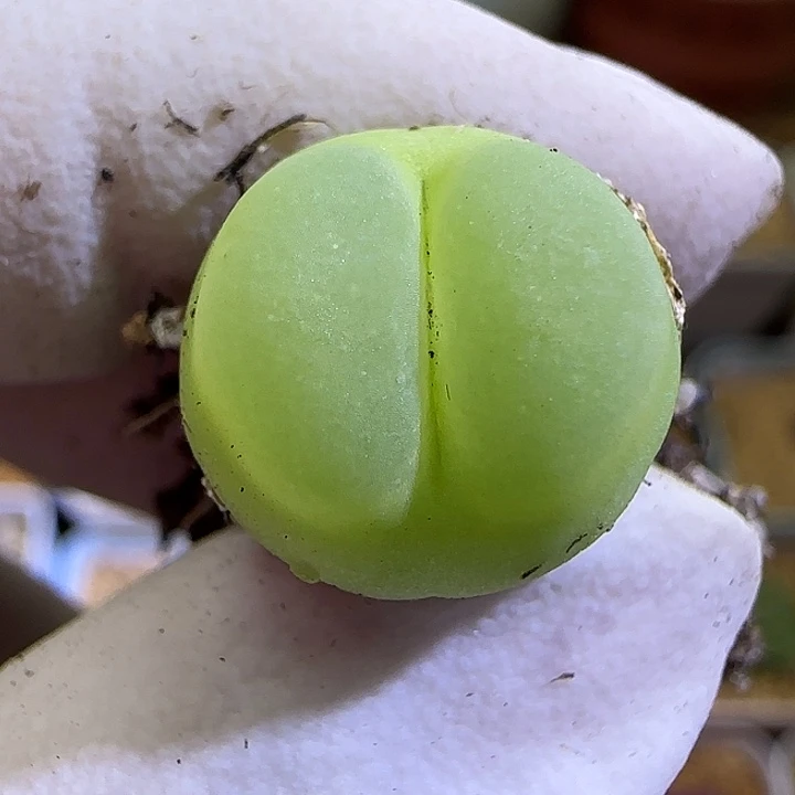 沉***默990福利福利福利福利