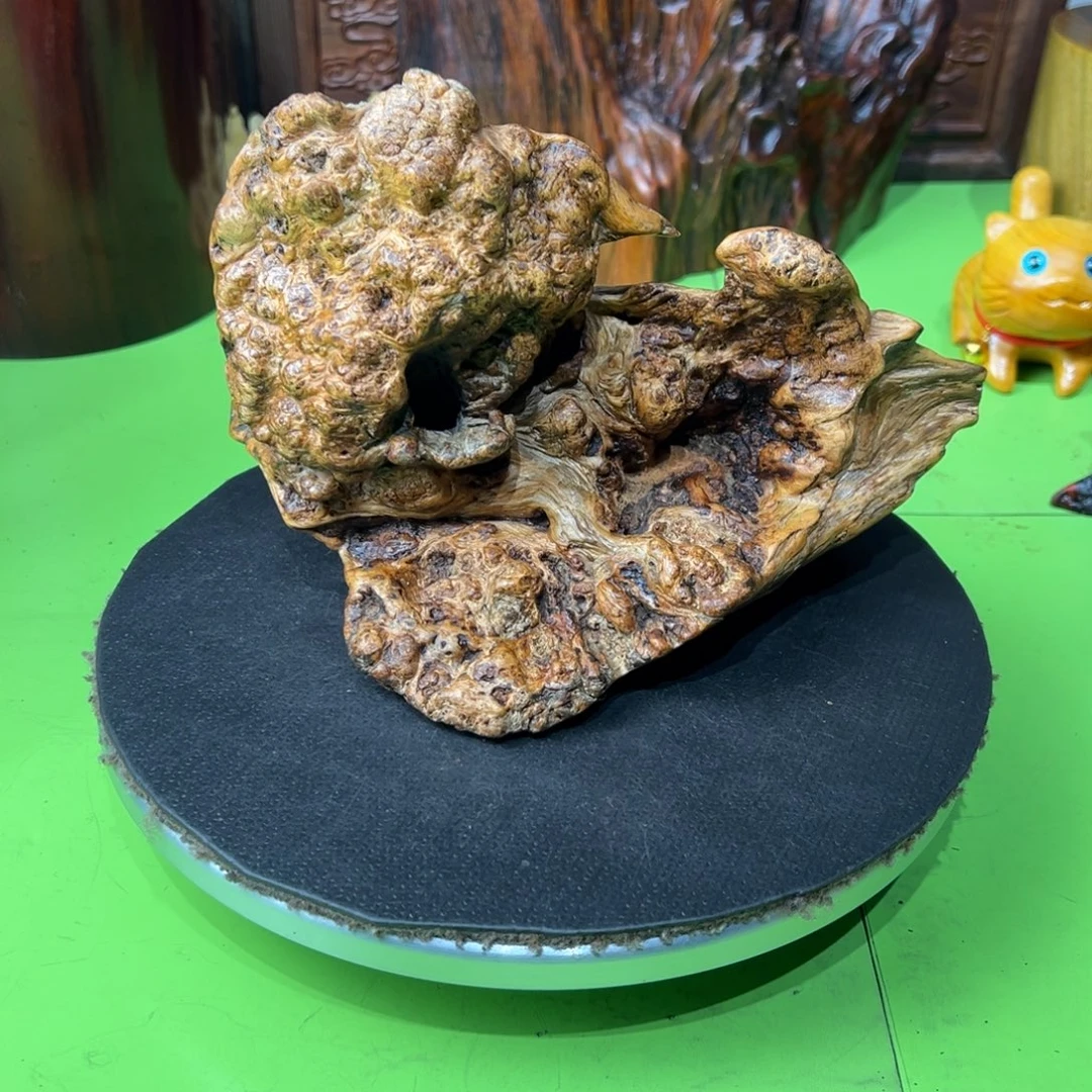 秋***⋯大果紫檀（缅甸花梨）
