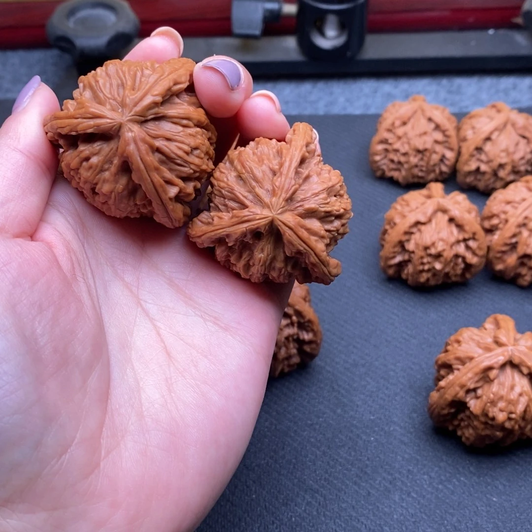 低**人白狮子111111111