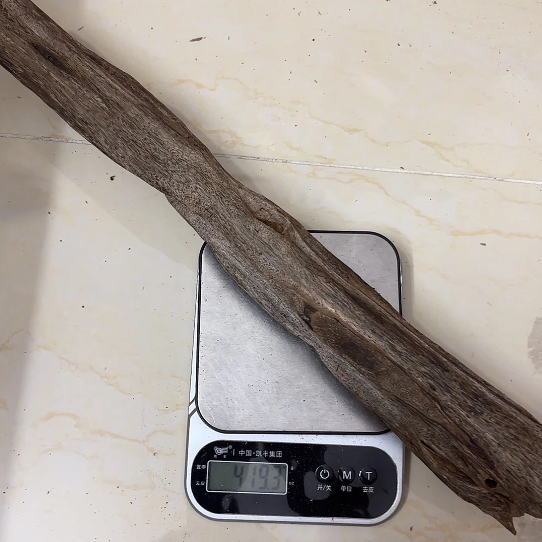 沉香沉香碎屑御****）虫漏419