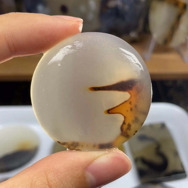 未镶嵌玛瑙象形福利款玛瑙/玉髓