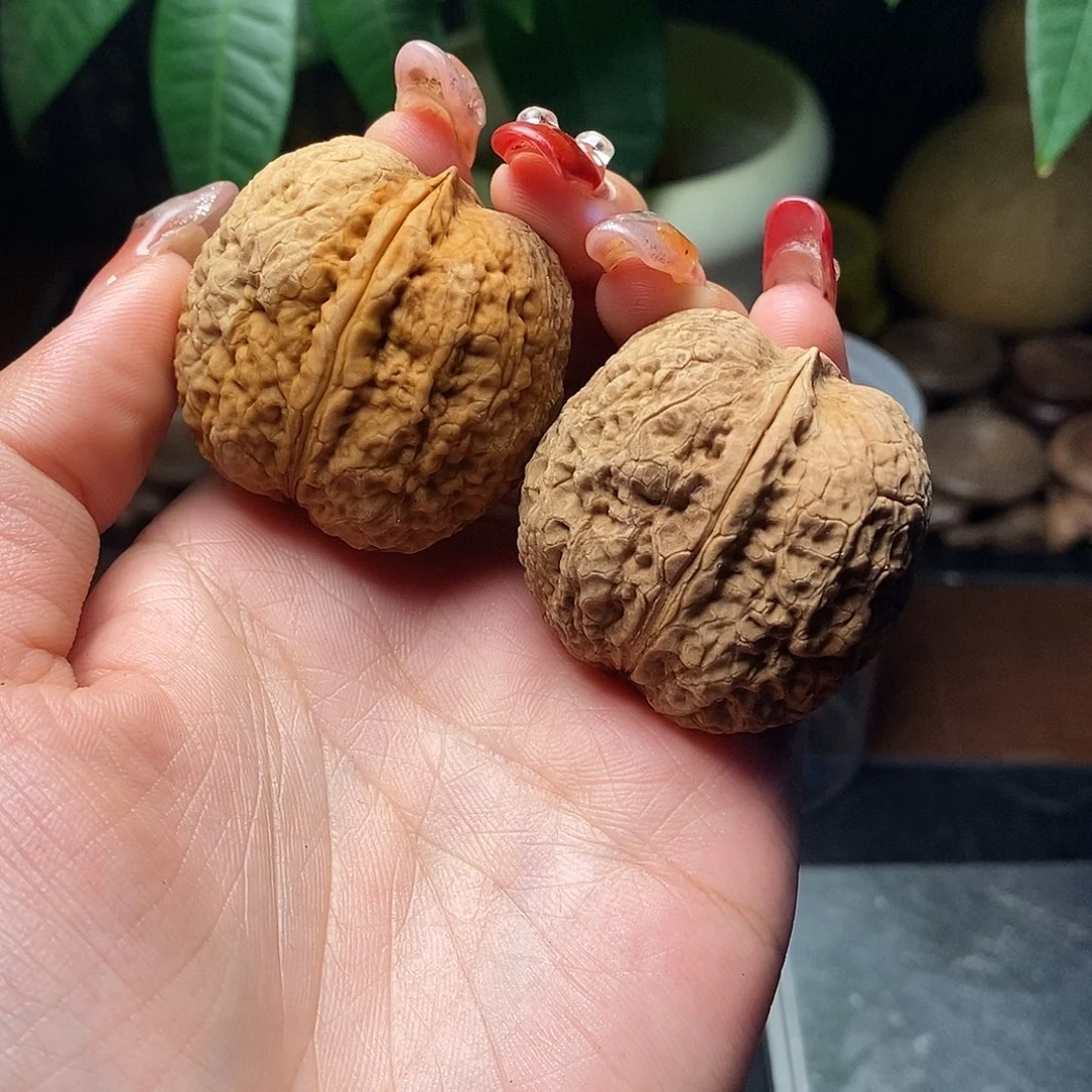 文玩核桃把件@*淡粗筋元宝