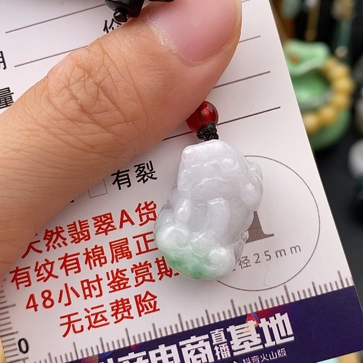颈饰未镶嵌翡翠貔貅