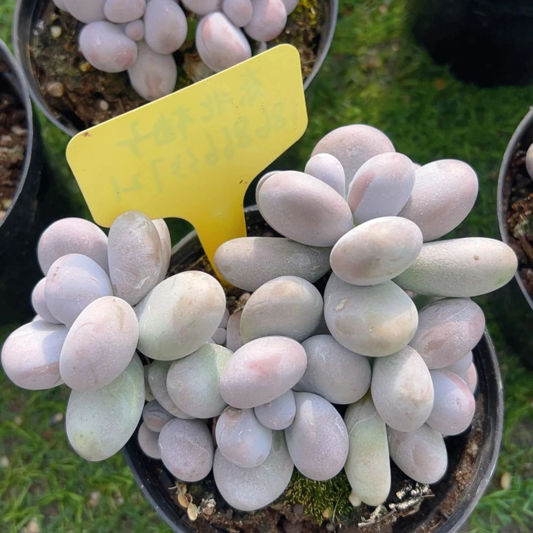 福利来了来了来了来