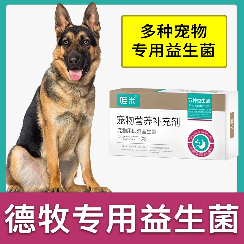 德牧黑背专用益生菌粉成幼犬用狗狗宠物即溶肠胃宝肠道消化宝日常
