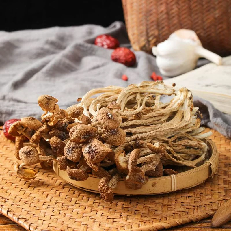 250g精品茶树菇干货2025新货不开伞剪脚煲汤原味特级无硫