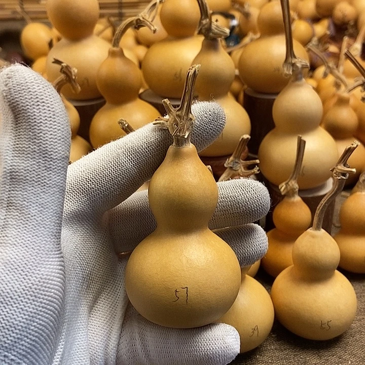 文玩葫芦 完美主义者 慎拍57