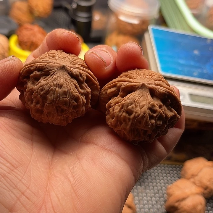 把件桃核全品小龙眼边41