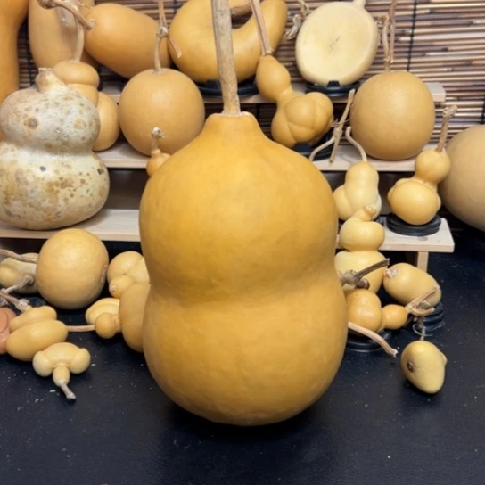 不***字159989988899999