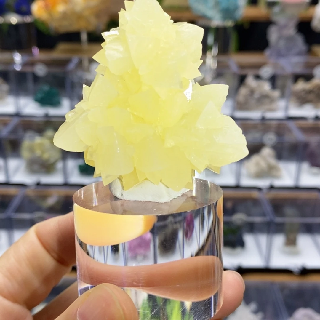 亚克力云南方解花