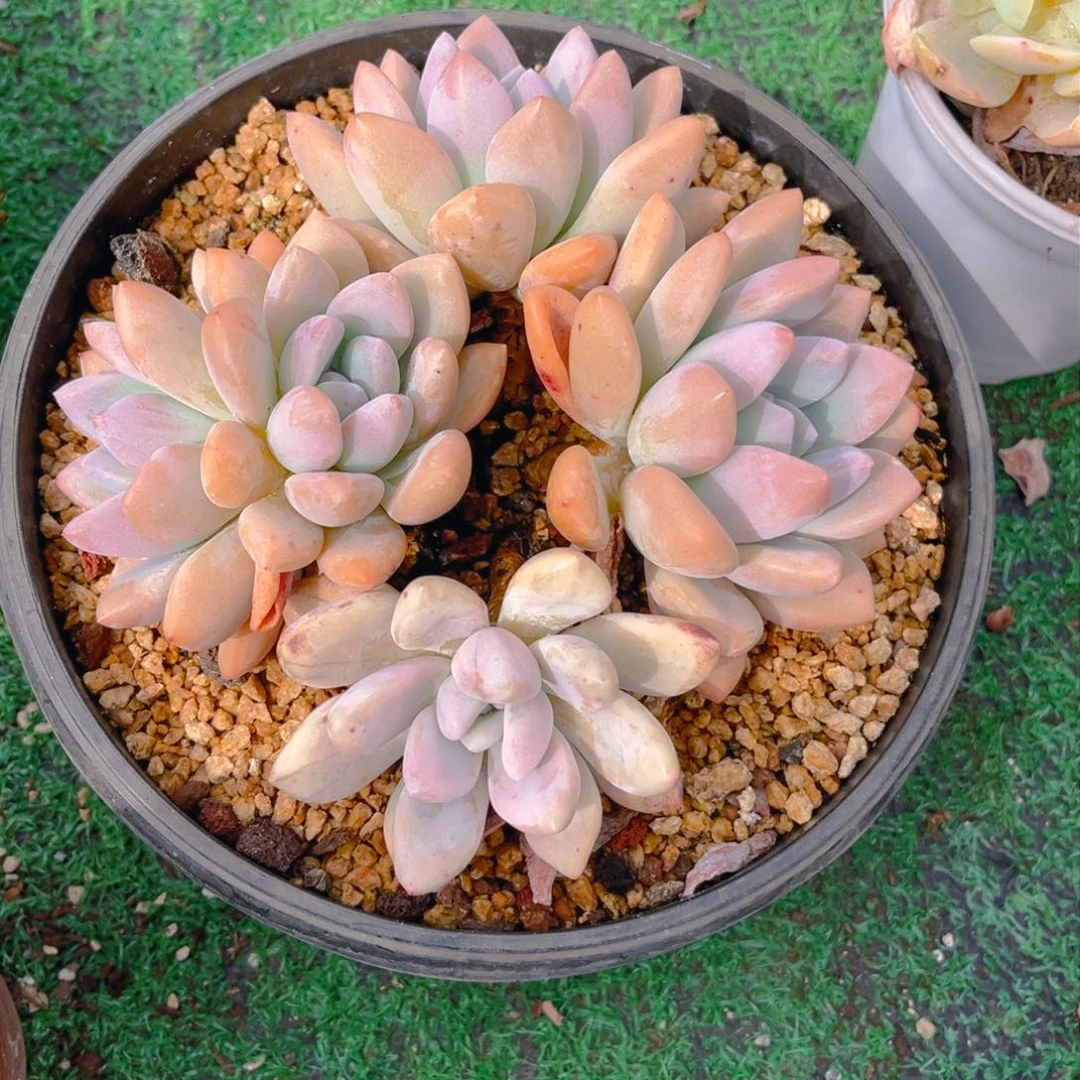 ?****?Fghhjjjjjjjjjjjjjj