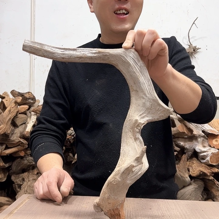 柏木祈*我们都是好孩子呀我也