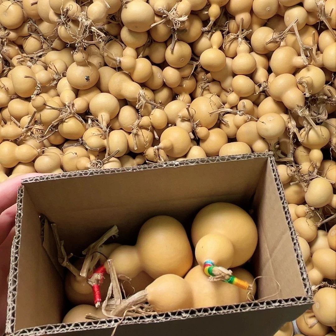 好***头天然手捻小葫芦10个