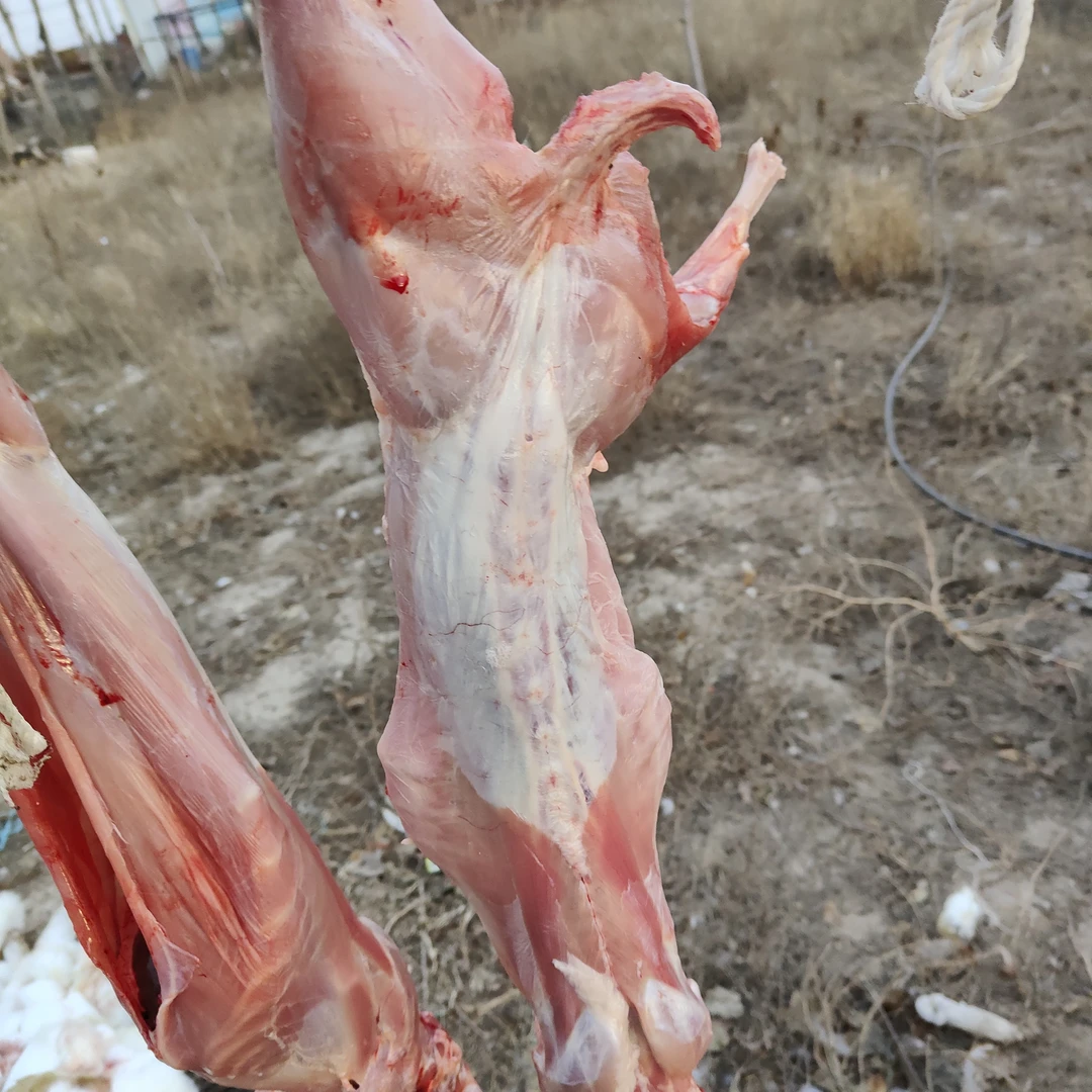 馨悦农家院散养兔（清真）