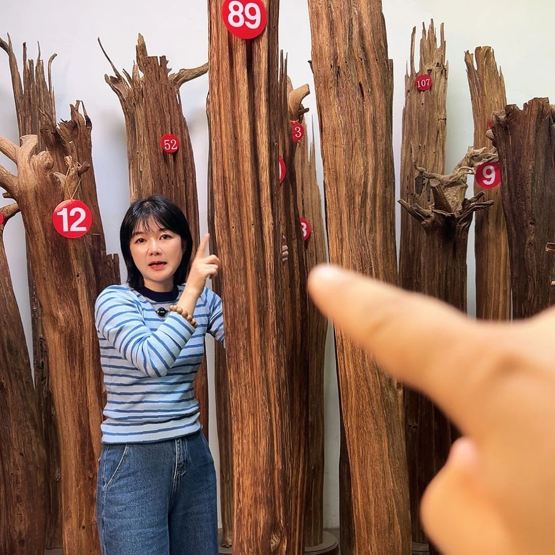 摆件沉香天然沉香原料香料